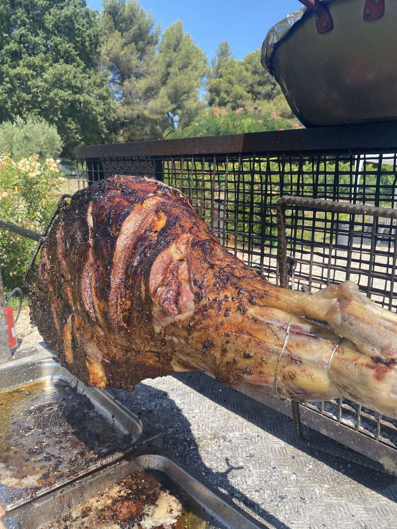 64889966418__ee6666b0-7ab4-47ad-9be0-e1ca23d36d7a_2