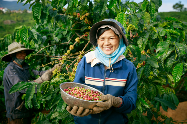 Le Rapport RSE 2024 de Maison Lyovel : comment la pause-café devient un acte engagé ?