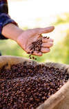Pause-café durable avec produits locaux et responsables
