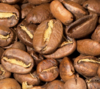 Graine d arabica fragile cultivée en haute altitude
