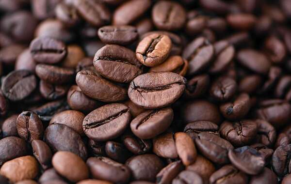 Arabica vs Robusta : le match des variétés pour votre pause-café