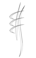 Logo Pascale Henry-Therras