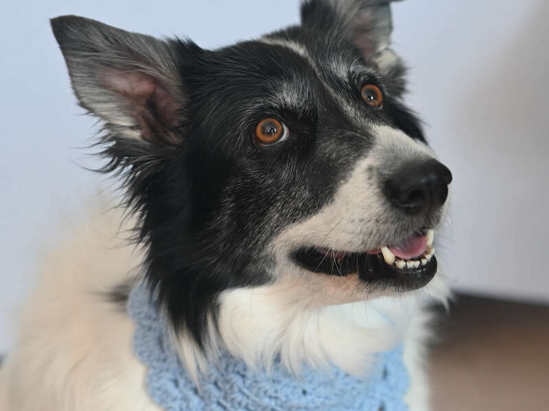 tousenbleu020425-121