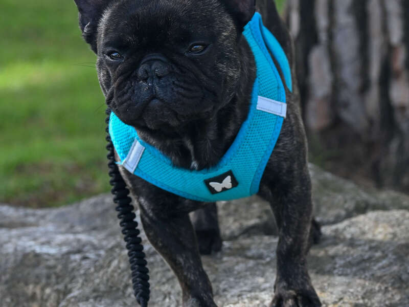 tousenbleu020425-023