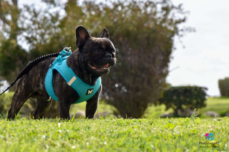 tousenbleu020425-017