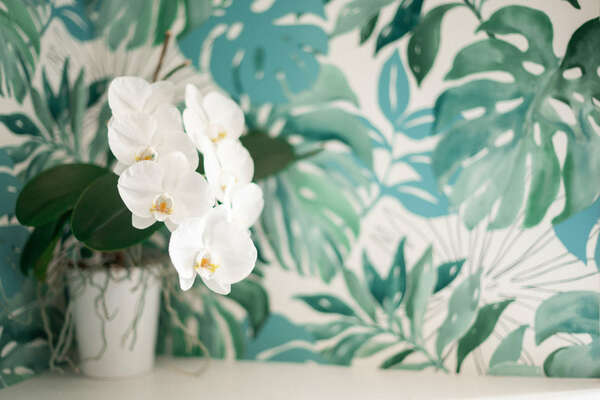 Découvrez la sophrologie tous les lundis  !