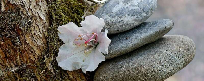 Atelier de Connexion à Soi