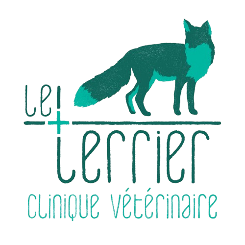 Logo Le Terrier - Clinique Vétérinaire