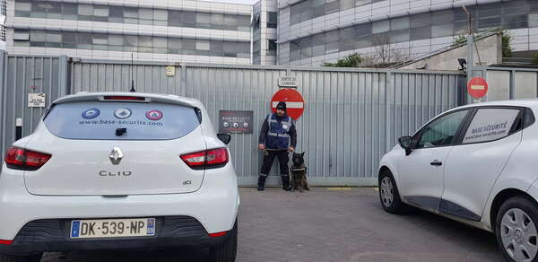 Le métier de Maître chien : quelle formation suivre pour devenir agent de sécurité cynophile ?