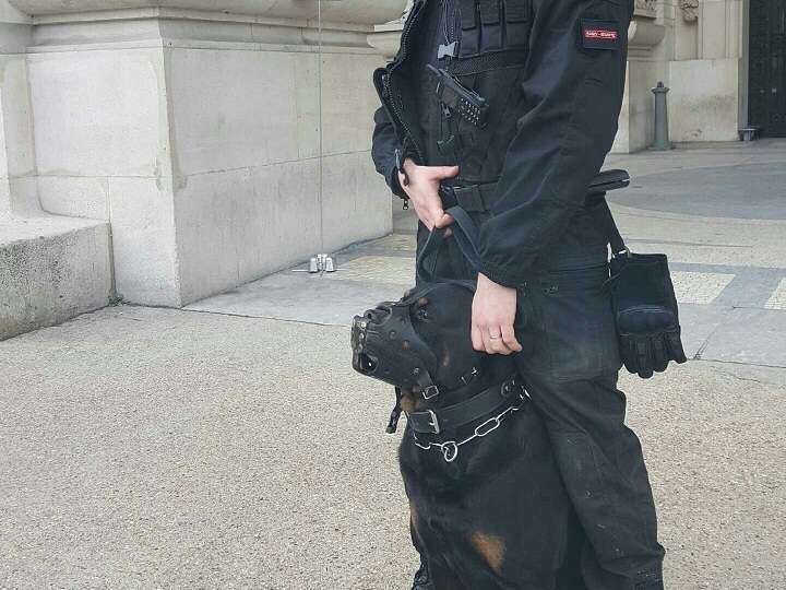 maitre-chien_base_securite20210305-1537296-w124j6