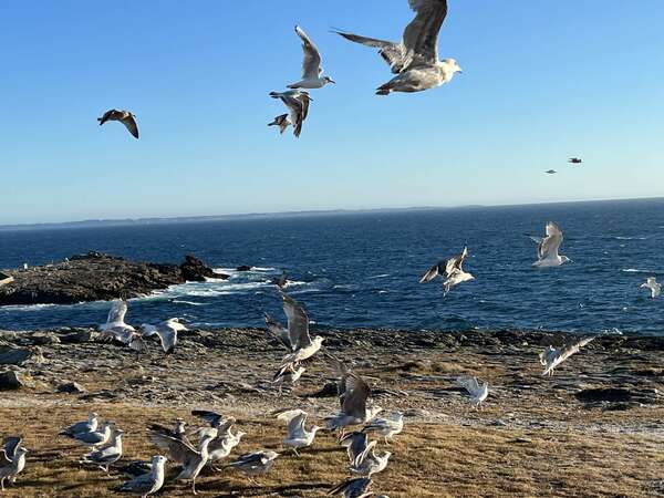 Retrouver du plaisir à aller au bureau ! Une thérapie en 4 semaines, pour un nouvel envol ...
