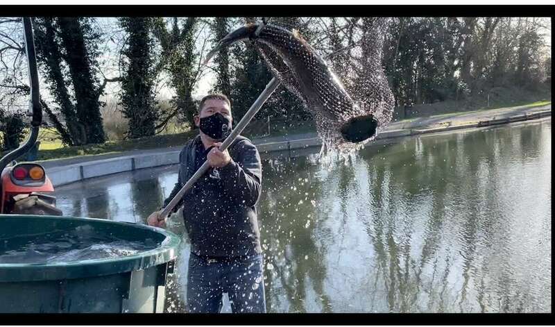 deversement-super-grosse-truite