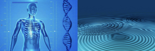 Pourquoi les vibrations du corps sont-t-elles cruciales pour notre harmonie et notre santé ?