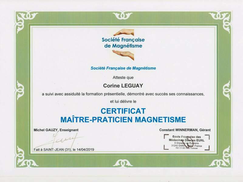 maitre_praticien_magnetisme_avril