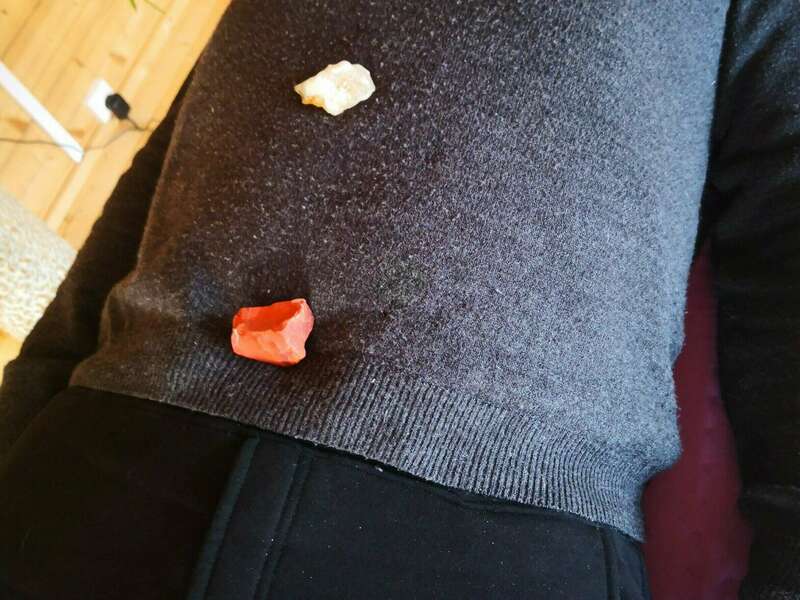 img_fredo_20210417_163900__2_