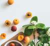 Processus d accompagnement nutritionnel étape par étape