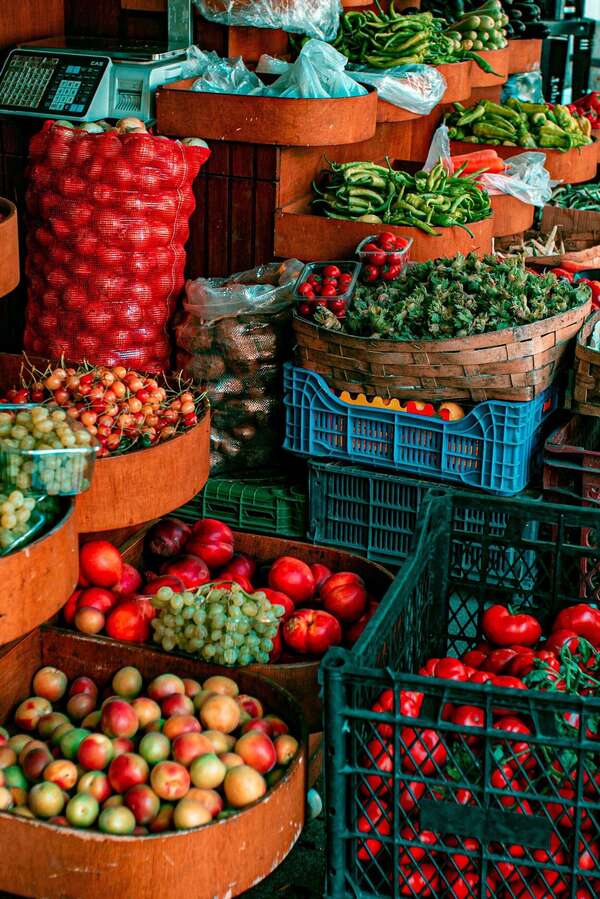 Maladie de Parkinson : le rôle de l’environnement et de l’alimentation