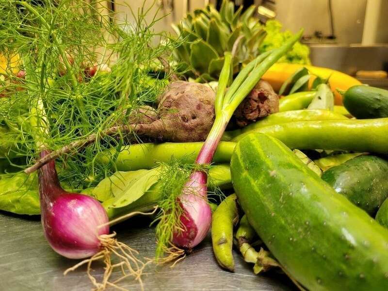 623802096_20220625_092316_7710763_resized_large