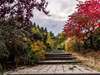 DELANGE ALAIN, jardinier-paysagiste à Bernières-sur-Seine (27700)