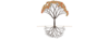 Arbre aux racines visibles, symbole de Des Racines à l'Âme