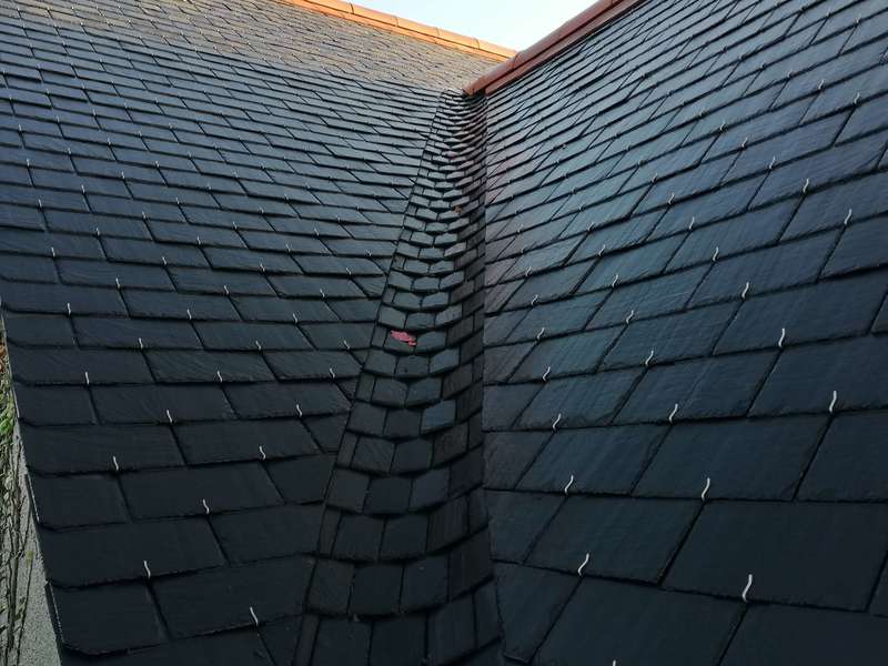 img_20191107_08453520191119-3161186-1ych205