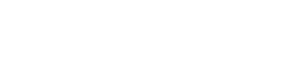 Logo Destination Unique