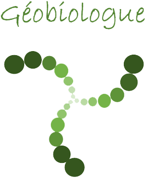 Logo Frédéric DEBLOIS