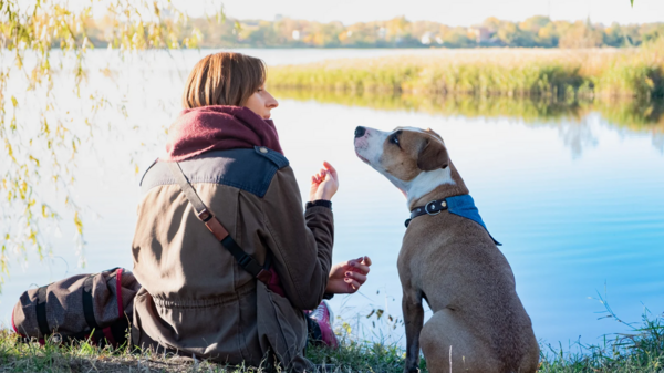 Tout le monde peut il pratiquer la communication animale ?