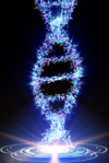 Adn émettant de la lumière, bio-photons