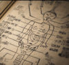 méridiens de la médecine chinoise