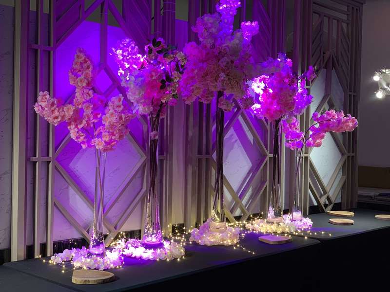 1d745d69-8d86-454c-8824-850534de82fd20200604-1202812-tf4hqs