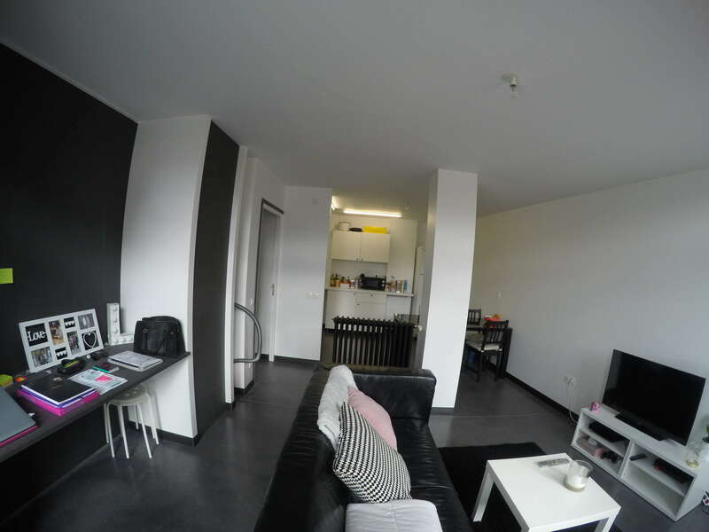 1320210420-1861721-xcbnzf