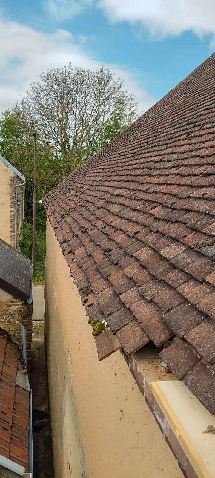 img-20240522-wa0015_oui