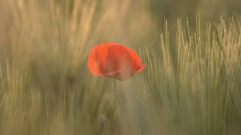 Accompagnement gestion de stress