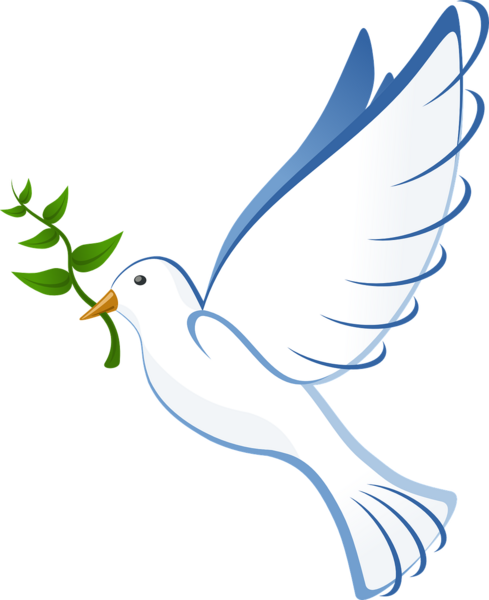 Logo Élodie Dricci