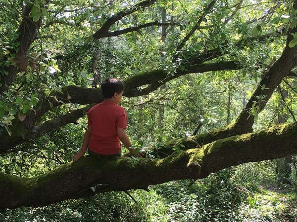 Atelier Enfant Intérieur le 3/05/2019 à 20H à l'adresse du cabinet