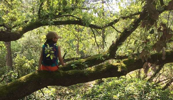 Nature vs Comportement