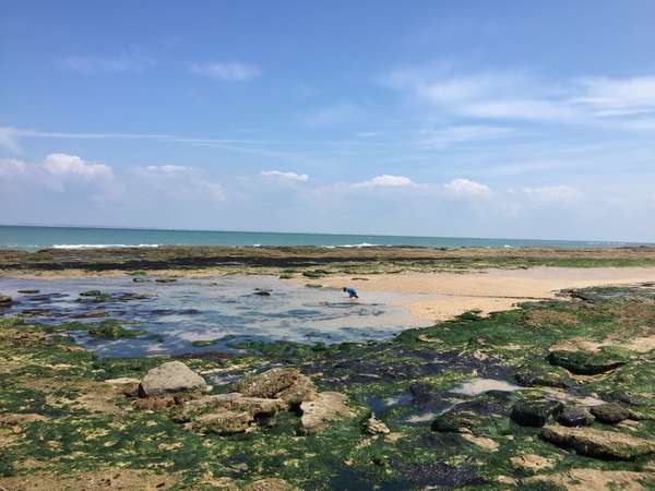 Réouverture du cabinet - Déconfinement