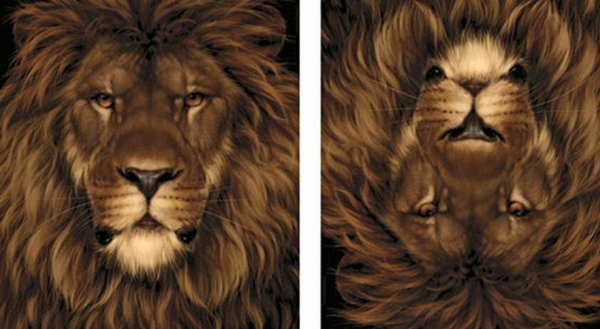 Changer de perspective....