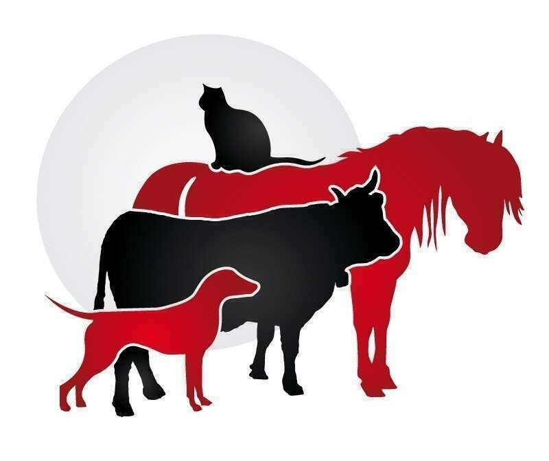 veterinaire