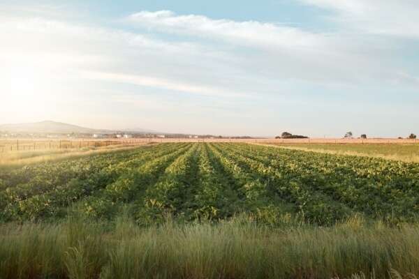 Tarifs des Notaires – Actes relatifs principalement aux baux et à la gestion des biens immobiliers et fonciers - 2025