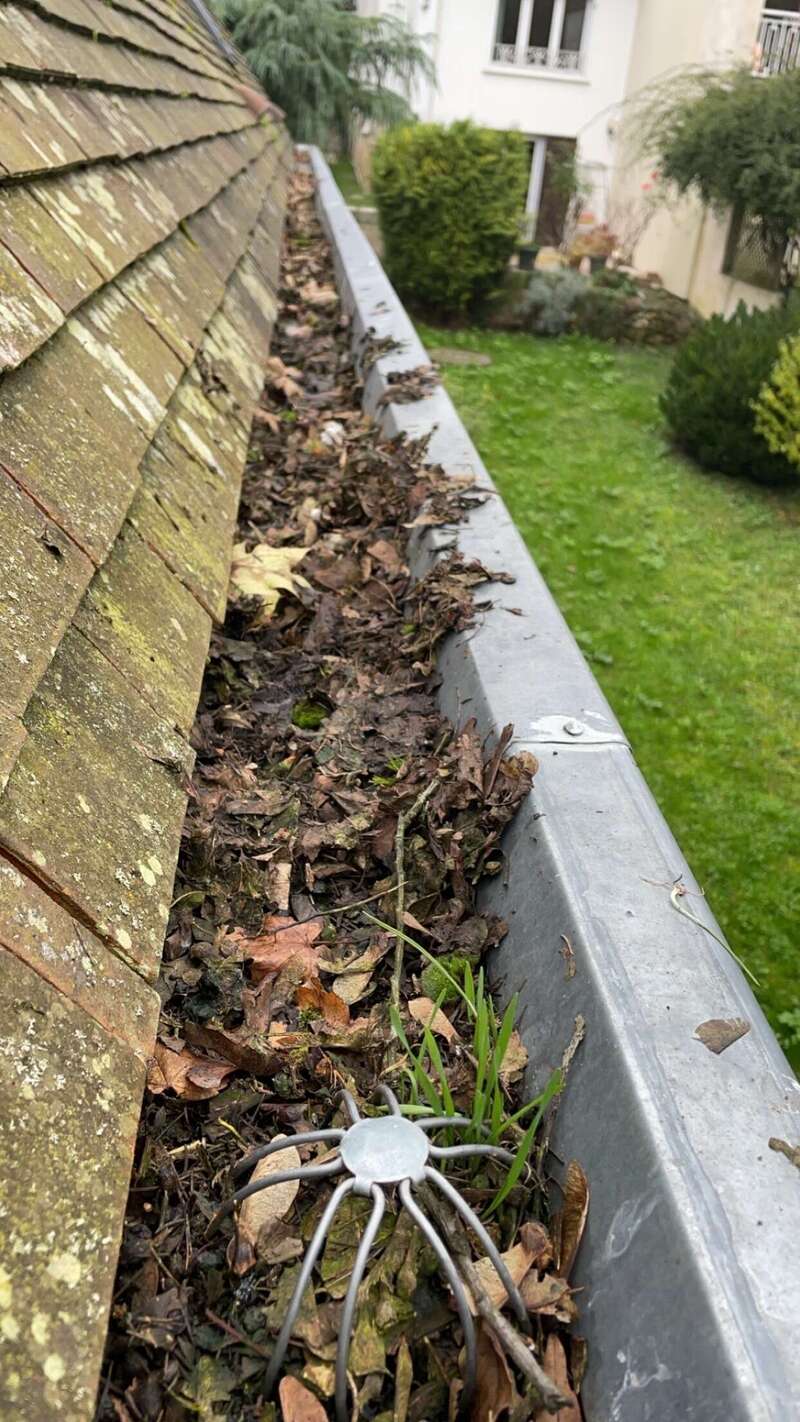 img_246220250812-1201032-78ceav