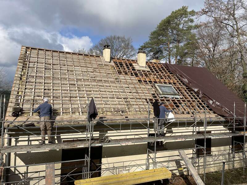 img_361920250812-1250376-3r7mxm