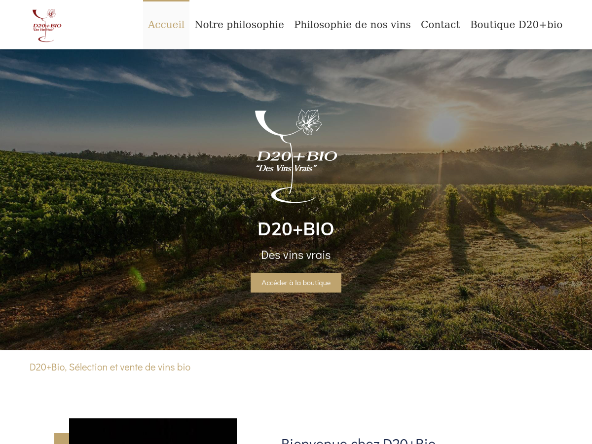 Exemple de site internet de Commerce de proximité à Cavagnac
