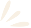 élèment design apostrophe 