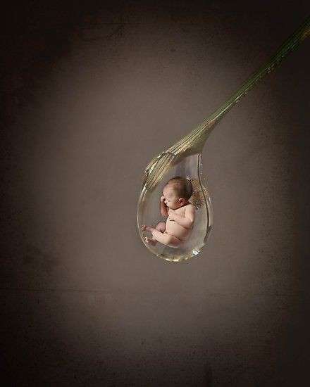 L’hypnose une  aide à la procréation, une réponse à l’infertilité où « Les filles naissent dans les roses et les garçons dans les choux ! »