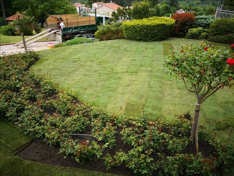 screenshot_20201117_205105