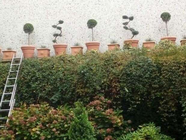 screenshot_20201117_203150