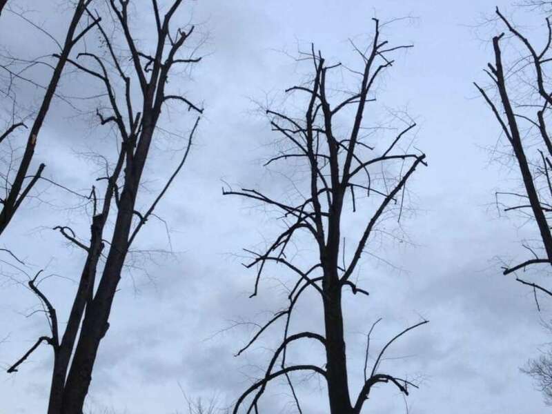 screenshot_20201117_202851_com-facebook-katana