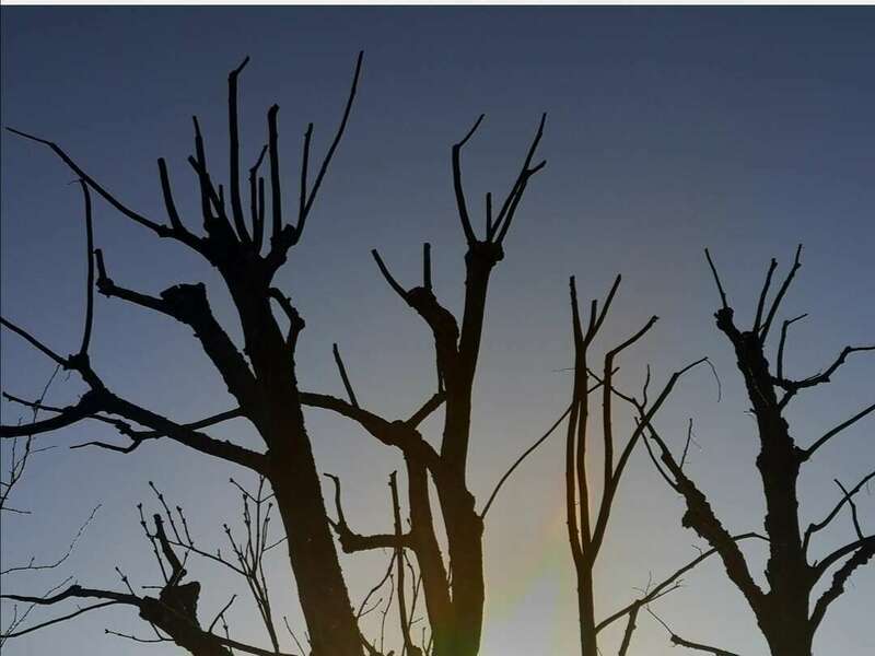 screenshot_20201117_204051